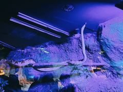 -暹罗海洋世界