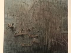 -江苏省美术馆(长江路新馆)