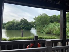 -西溪国家湿地公园