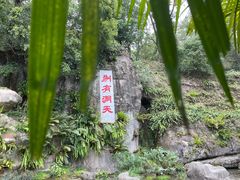 -深圳仙湖植物园