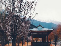 -卡定沟景区