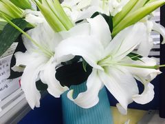 -西贝莜面村(上海百联西郊店)