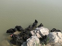 -天津东丽湖风景区