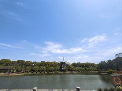 -上海鲜花港