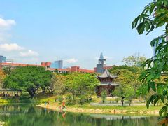 -四海公园(南山区)