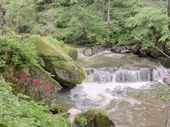 -茅兰沟国家森林公园