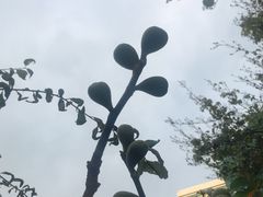 -西宁市东关清真大寺