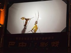 -恩阳古镇