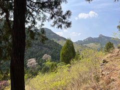 -四门塔风景区