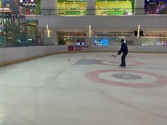 -炫采冰场(红博中央公园商场店)