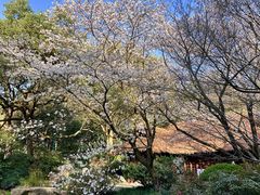 -中国茶叶博物馆(双峰馆区)