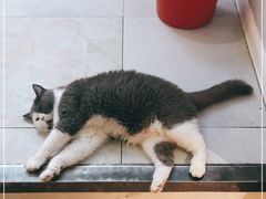 -犇牛记·鲜牛肉火锅
