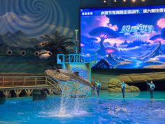 -海合安武汉极地海洋公园