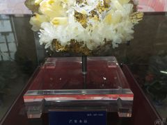 -湖南省地质博物馆