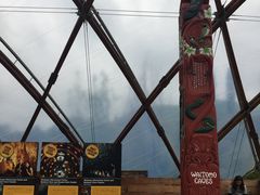 -怀托摩萤火虫洞