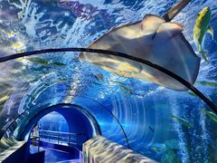 -太平洋海底世界