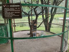 -洪崖丹井