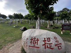 -三亚南山文化旅游区