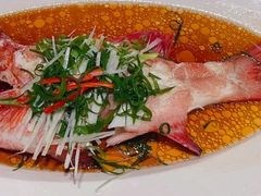-皇朝会.经典传统粤菜(外滩店)