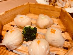 宝园虾饺皇-宝园酒家(美林M·LIVE天地东座店)