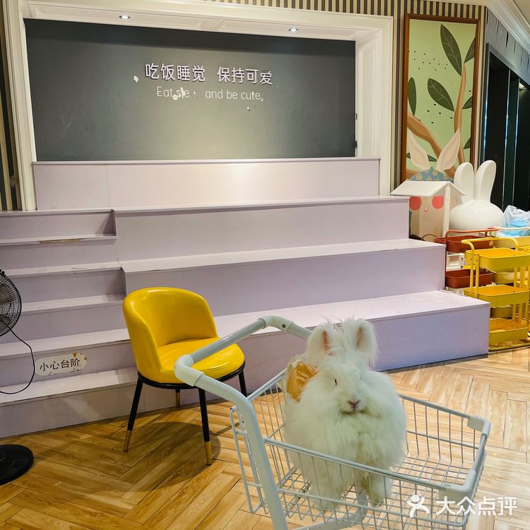 Nice to meet U 安哥拉兔巨兔体验馆