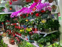 -三旗百汇商品城