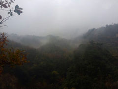 android_upload_pic-浙西大龙湾