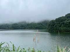 -广州市石门国家森林公园