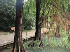 -高子水居