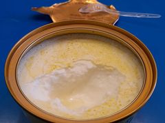 -德禄酸奶(莫家街店)