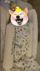 -baby bella小贝拉母婴护理中心(北京东隅店)