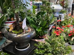 -豆豆花艺(新光天地店)