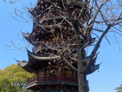 -龙华寺