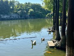 -东莞市可园博物馆