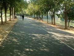 -艾溪湖湿地公园