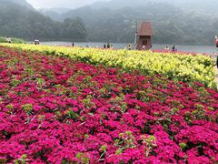 -广州市石门国家森林公园