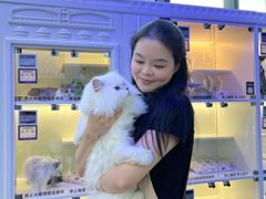 -小猫来了·猫舍(红山六九七九店)