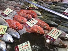 -胖大嫂渔家排档·全海景餐厅(渔村店)