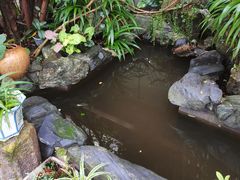 -谷咖啡·鲜花绿植花园餐厅