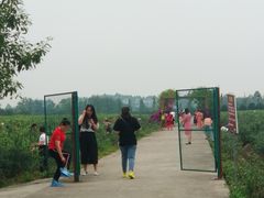 -金谷域澳洲庄园