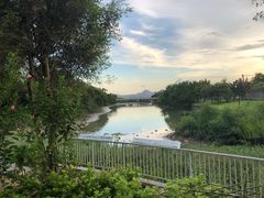 -福田红树林生态公园