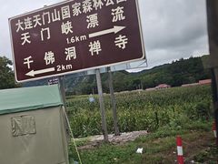 -大连天门山国家森林公园