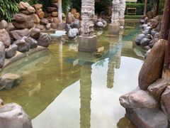 -庐山天沐温泉度假村