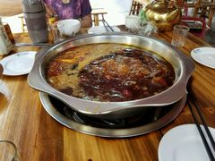 -金鼎雪山牦牛杂火锅(理县总店)