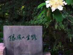 -上海共青森林公园