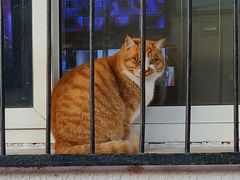 -北京市东城区东四九条小学