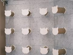 -喵园·猫主题咖啡厅·撸猫·猫咖(国贸店)