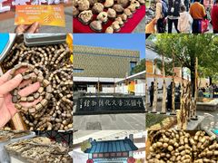 -香市公园-中国沉香文化博物馆