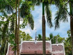 -西双版纳傣族园