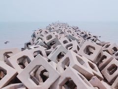 -东疆建设开发纪念公园